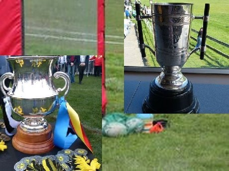 bucqi Jubilee and Hardham Cups finals previews